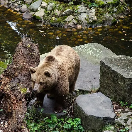 Cortes Гостевой дом